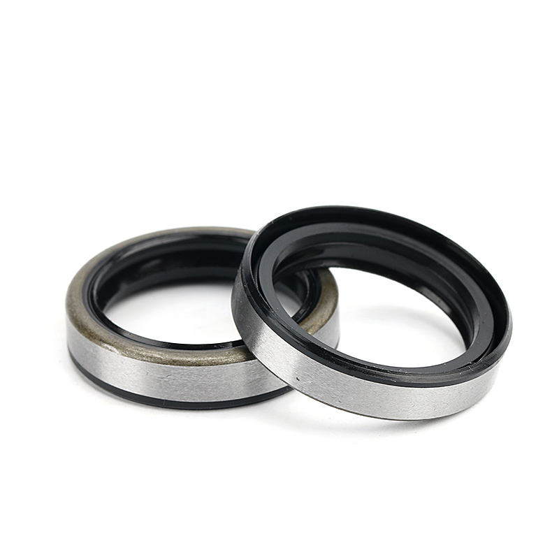 TB steel skeleton dust proof oil seal 25*32*7mm TB25327
