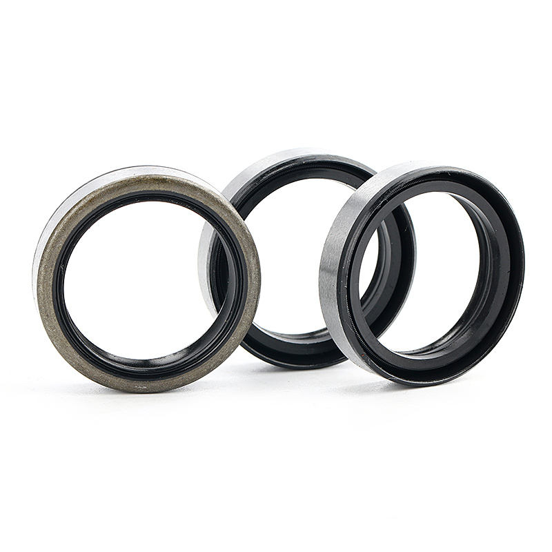 TB steel skeleton dust proof oil seal 25*32*7mm TB25327