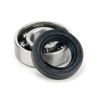 single double lips brown FKM black NBR with spring Rubber skeleton oil seals TC 8X24X7 15*30*10 16X24X4 20X35X5 21X35X7 22x28x4