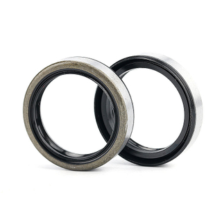 35*45*7 35*45*8 35*48*7 35*50*10 35*47*7 35*52*6 35*54*8 double lips TB iron steel shell skaleton oil seal 25327 25x32x7 25*32*7