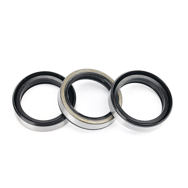 TB steel skeleton dust proof oil seal 25*32*7mm TB25327
