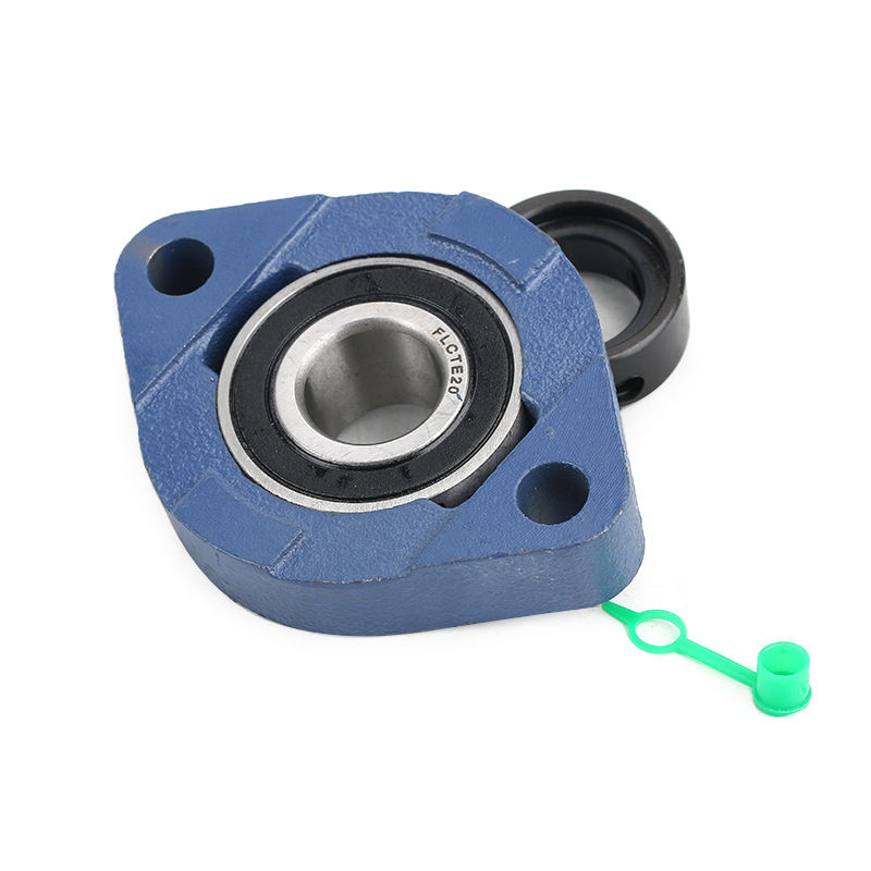 Cast iron two bolt holes flange bearing housing unit FLCTE20