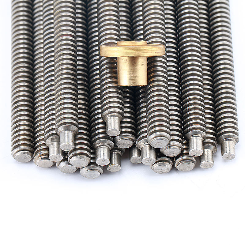 Tr8x8 304 stainless steel lead screw 600mm length with brass nut