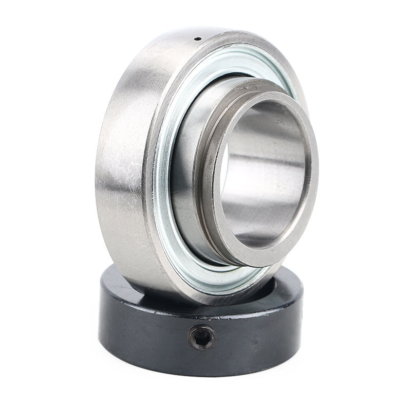 Radial insert ball bearing with eccentric sleeve RAE40NPPB