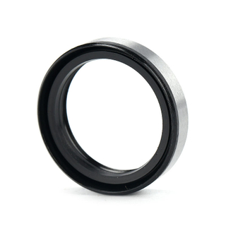 TB steel skeleton dust proof oil seal 25*32*7mm TB25327
