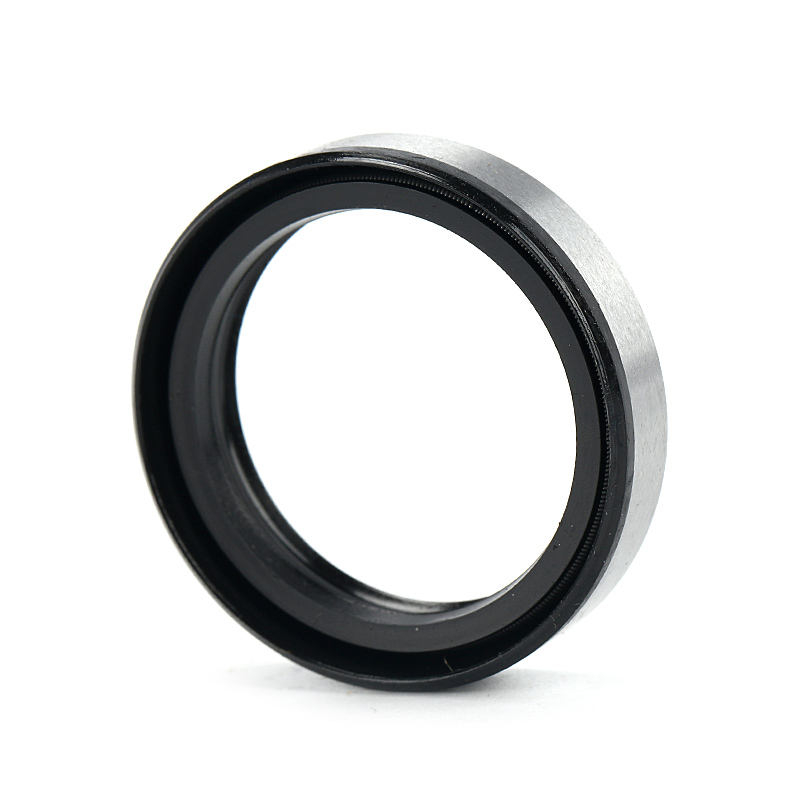 TB steel skeleton dust proof oil seal 25*32*7mm TB25327