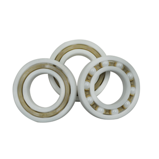 PTFE 6805 6905 16005 6005 6205 6305 6405 plastic ring with ceramic balls bearing