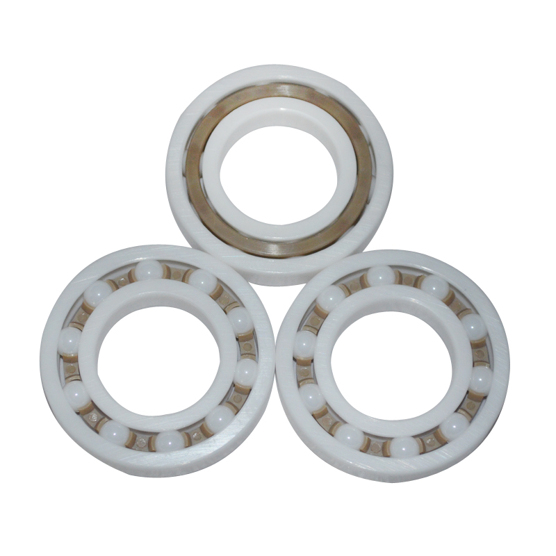 PTFE 6805 6905 16005 6005 6205 6305 6405 plastic ring with ceramic balls bearing