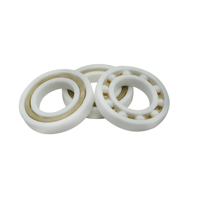 PTFE 6805 6905 16005 6005 6205 6305 6405 plastic ring with ceramic balls bearing