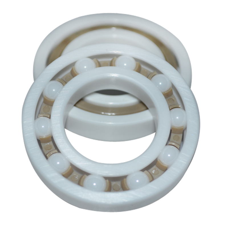 PTFE 6805 6905 16005 6005 6205 6305 6405 plastic ring with ceramic balls bearing