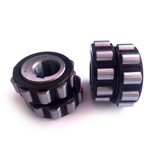 reducer bearing double raceway zone eccentric bearing 61011-15-YRAX