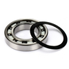 High precision ceramic ball bearing ceramic bearing 6805