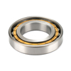150752908 Cylindrical Roller Bearing 38x95x54mm