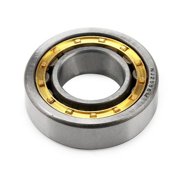 NJseries Reinforced Cylindrical Roller Bearing with Brass Cage NJ205EM 
