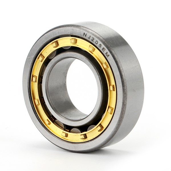 NJseries Reinforced Cylindrical Roller Bearing with Brass Cage NJ205EM 